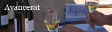 Avancerad s�kning av vin